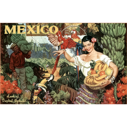 Vintage Travel Poster Mexico