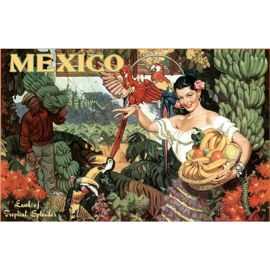 Vintage Travel Poster Mexico